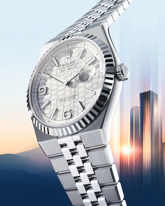 Rolex Land-Dweller Rolesor&nbsp;gris